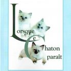 Lorsque le chaton paraît