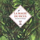 La magie du ficus