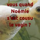 Où étiez-vous quand Noémie s'est cousu le vagin ?