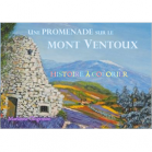 Une promenade sur le Mont Ventoux