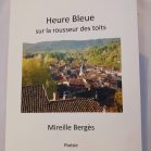 Heure bleue sur la rousseur des toits