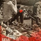 Seul Tome 1 Renaissance