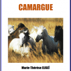 Mystères en Camargue