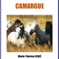 Mystères en Camargue de Marie-thérèse Arzelier