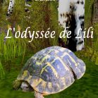 L'odyssée de Lili