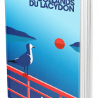 Les goélands du Lacydon