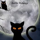 Fiammetta au pays des chats