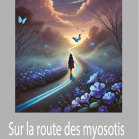 Sur la route des myosotis