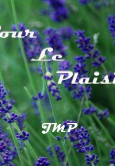 Pour le plaisir