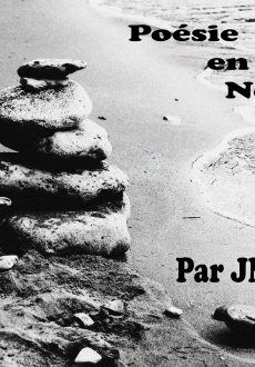 Poésie en Noir et Blanc